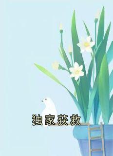 独家获救