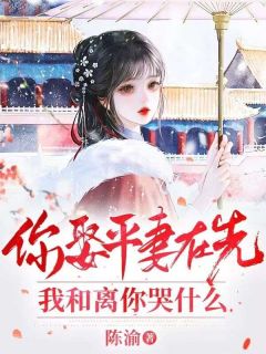 你娶平妻在先，我和离你哭什么