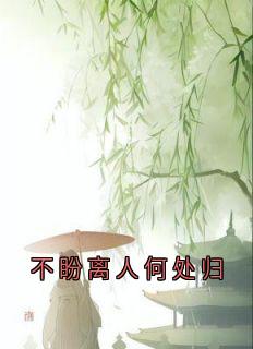 不盼离人何处归
