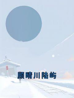 顾晴川陆屿