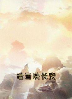 瑞雪映长安