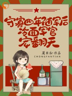 守寡四年随军后，冷面军官宠翻天
