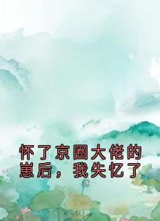 怀了京圈大佬的崽后，我失忆了