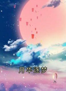月华逐梦