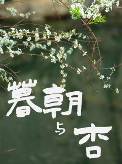 暮朝与杏