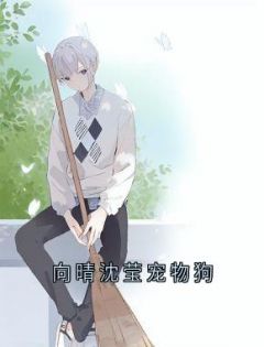 向晴沈莹宠物狗