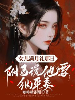 女儿满月礼那日，驸马说他要纳平妻
