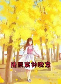 陆景宸钟晚意