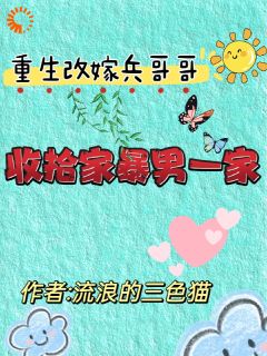 第2章暴打家暴男