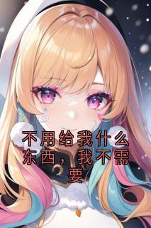 不用给我什么东西，我不需要