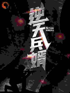 逆天兵婿
