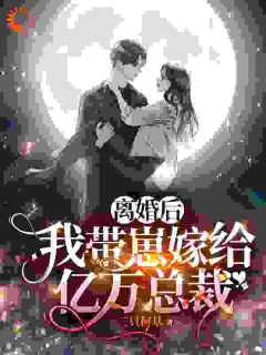 离婚后，我带崽嫁给亿万总裁