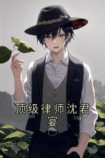 顶级律师沈君宴