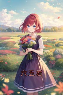 六五君