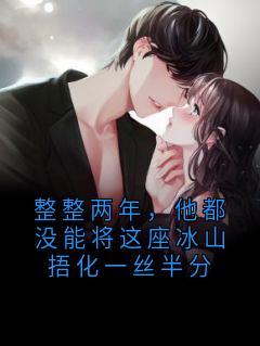 整整两年，他都没能将这座冰山捂化一丝半分