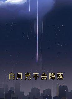 白月光不会降落