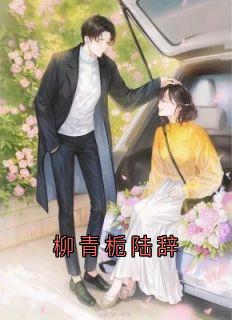 柳青栀陆辞