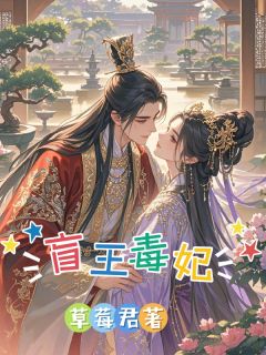 盲王毒妃