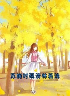 苏娆时砚清林若浅