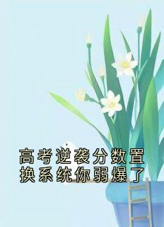 高考逆袭分数置换系统你弱爆了