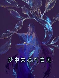 梦中未必丹青见