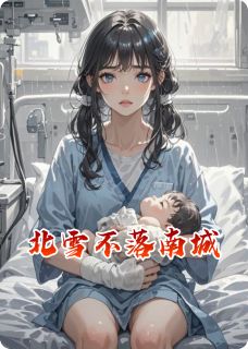 北雪不落南城
