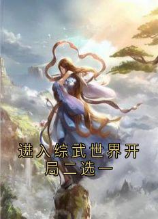 进入综武世界开局二选一