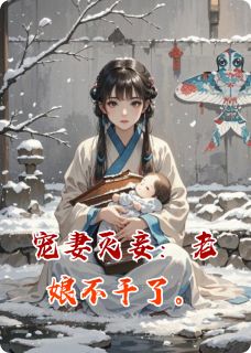 宠妻灭妾：老娘不干了