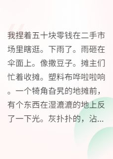 在二手市场淘到了一个神奇的宝贝