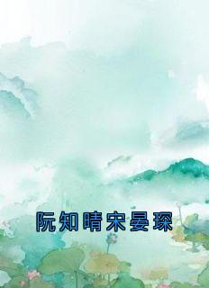 阮知晴宋晏琛