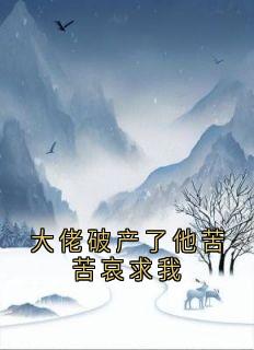 大佬破产了他苦苦哀求我