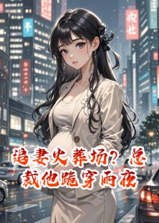 追妻火葬场？总裁他跪穿雨夜