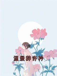 温景辞许衿