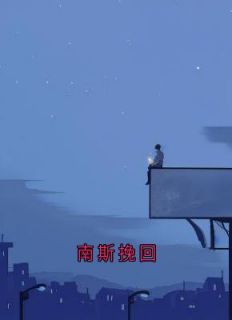 南斯挽回
