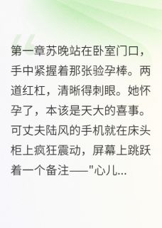 小三上门时我刚验出怀孕