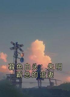 暮色白头：失明霸总的追妻