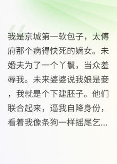 他说爱我，却为个贱婢掌掴我