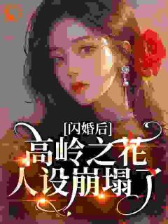 闪婚后，高岭之花人设崩塌了
