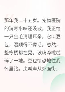 在末世开宠物收容所