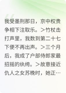 金蝉计