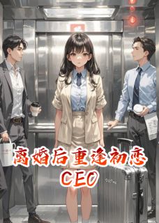 离婚后重逢初恋CEO