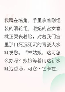 全后宫都在看我搞发明