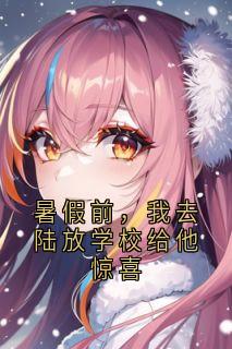 暑假前，我去陆放学校给他惊喜