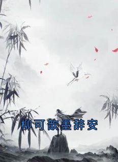 柳可歆墨辞安
