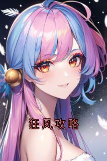 狂风攻略
