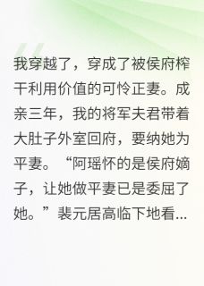 穿越成侯府弃妇，我杀疯了