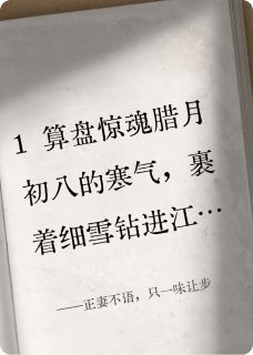 正妻不语，只一味让步