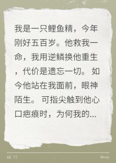 星河清梦圆