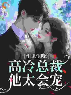 相见恨晚！高冷总裁他太会宠