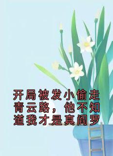 开局被发小偷走青云路，他不知道我才是真阎罗